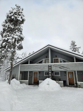 Cozy cottage near Olos
